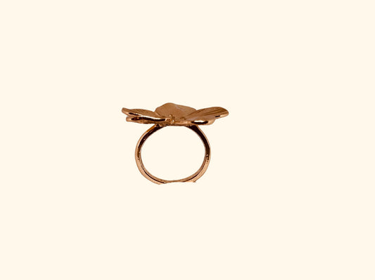 Bague ajustable